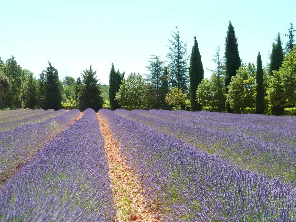 Luberon & Lavandes Roussillon en Isere Εξωτερικό φωτογραφία
